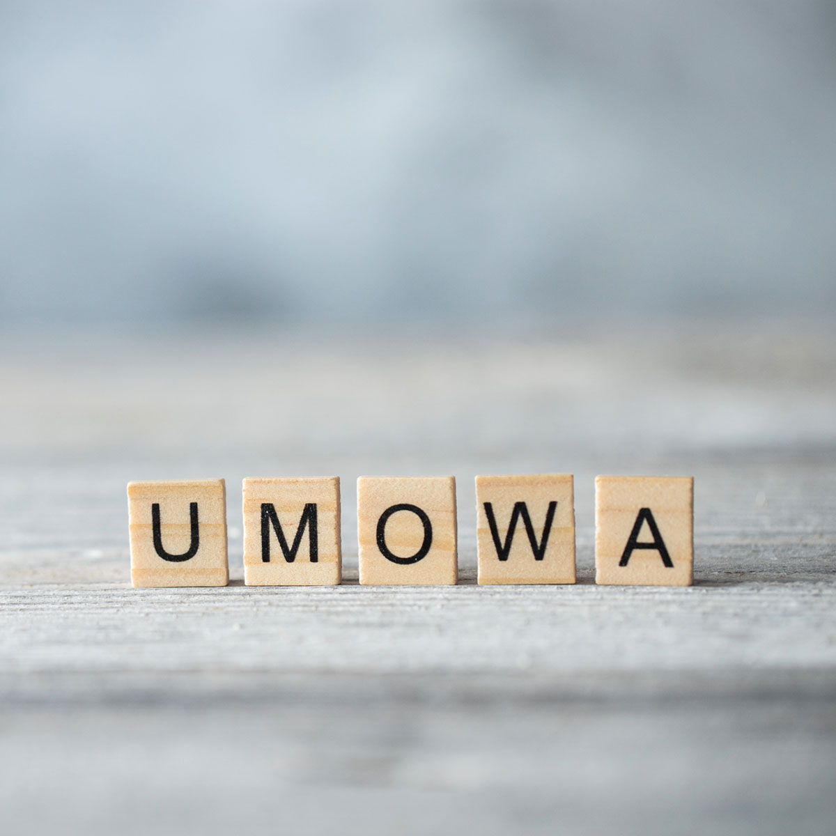 Umowa o dzieło czy zlecenie: w jakich sytuacjach ZUS ją zakwestionuje?